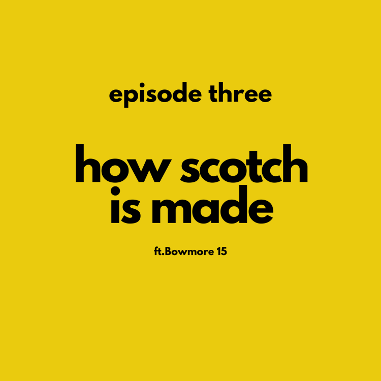 women in whisky, scotch podcast, whisky beginner, scotch beginner, whisky stories, whisky reviews, scotch reviews, women talking about scotch whisky, women drinking scotch whisky, female podcast, female led podcast, episode 3,, episode three, how scotch is made, how whisky is made, bowmore 15, isle of islay, quarantine, germination, mashing, WORT, fermentation, distillation, maturation, angel's share, newbie drinks an Octomore, 